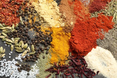 Photo of Many different spices on dark table, flat lay