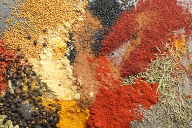 Photo of Many different spices on table, flat lay
