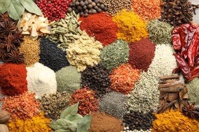 Photo of Many different spices as background, top view