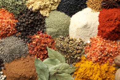 Photo of Many different spices as background, top view