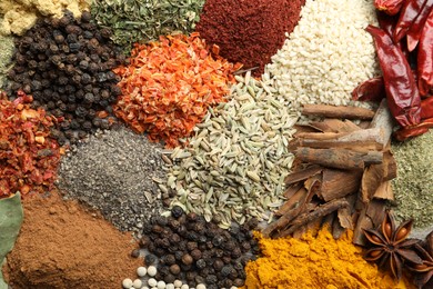 Photo of Many different spices as background, top view
