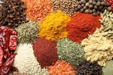 Photo of Many different spices as background, top view