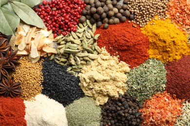 Photo of Many different spices as background, top view