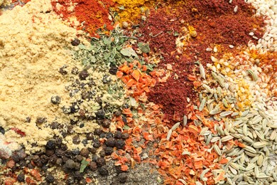 Photo of Many different spices as background, top view