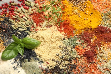 Photo of Many different spices on table, above view