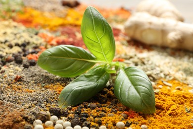 Photo of Many different spices on table, closeup view
