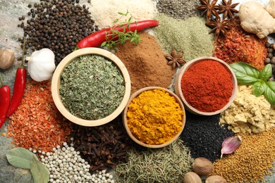 Photo of Many different spices on grey table, flat lay
