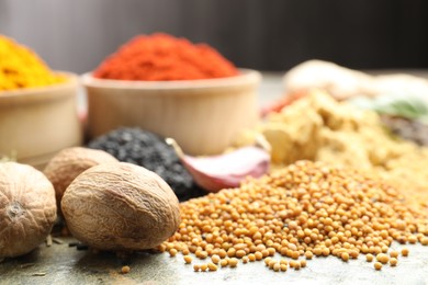 Photo of Many different spices on grey table, closeup