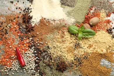 Photo of Many different spices on grey table, flat lay