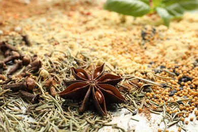 Photo of Many different spices as background, closeup view