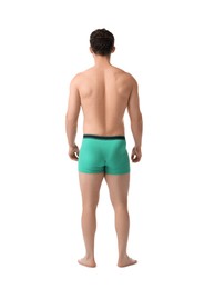 Photo of Young man in stylish turquoise underwear on white background, back view