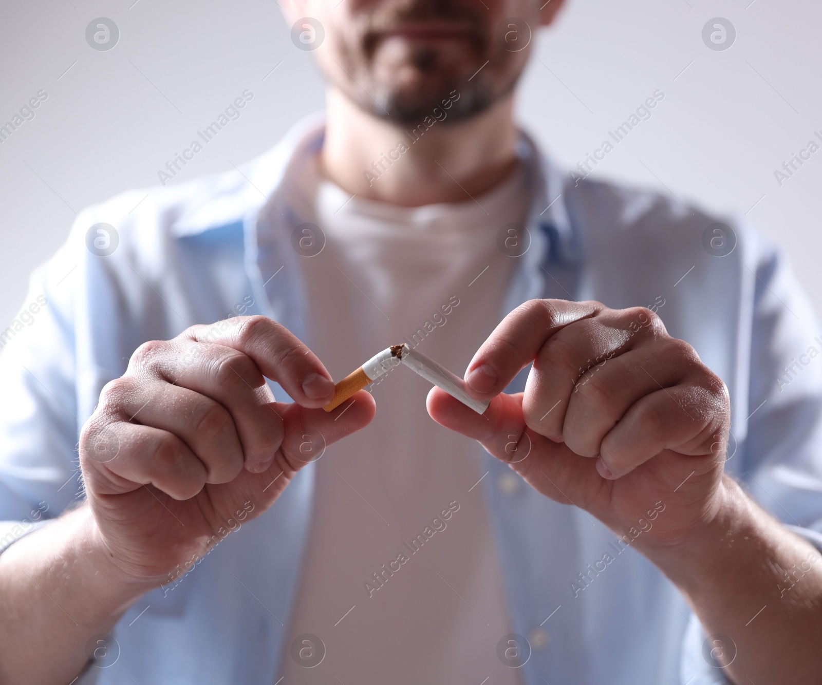 Man holding broken cigarette on light background, closeup. Stop smoking Photo of Man holding broken cigarette on light background, closeup. Stop smoking