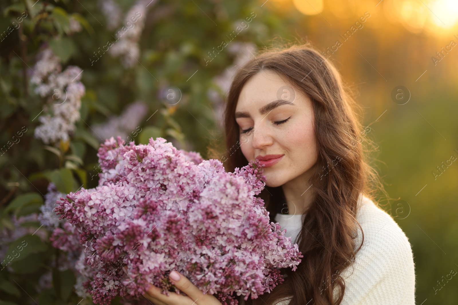Beautiful woman with bouquet of lilac flowers in morning Photo of Beautiful woman with bouquet of lilac flowers in morning