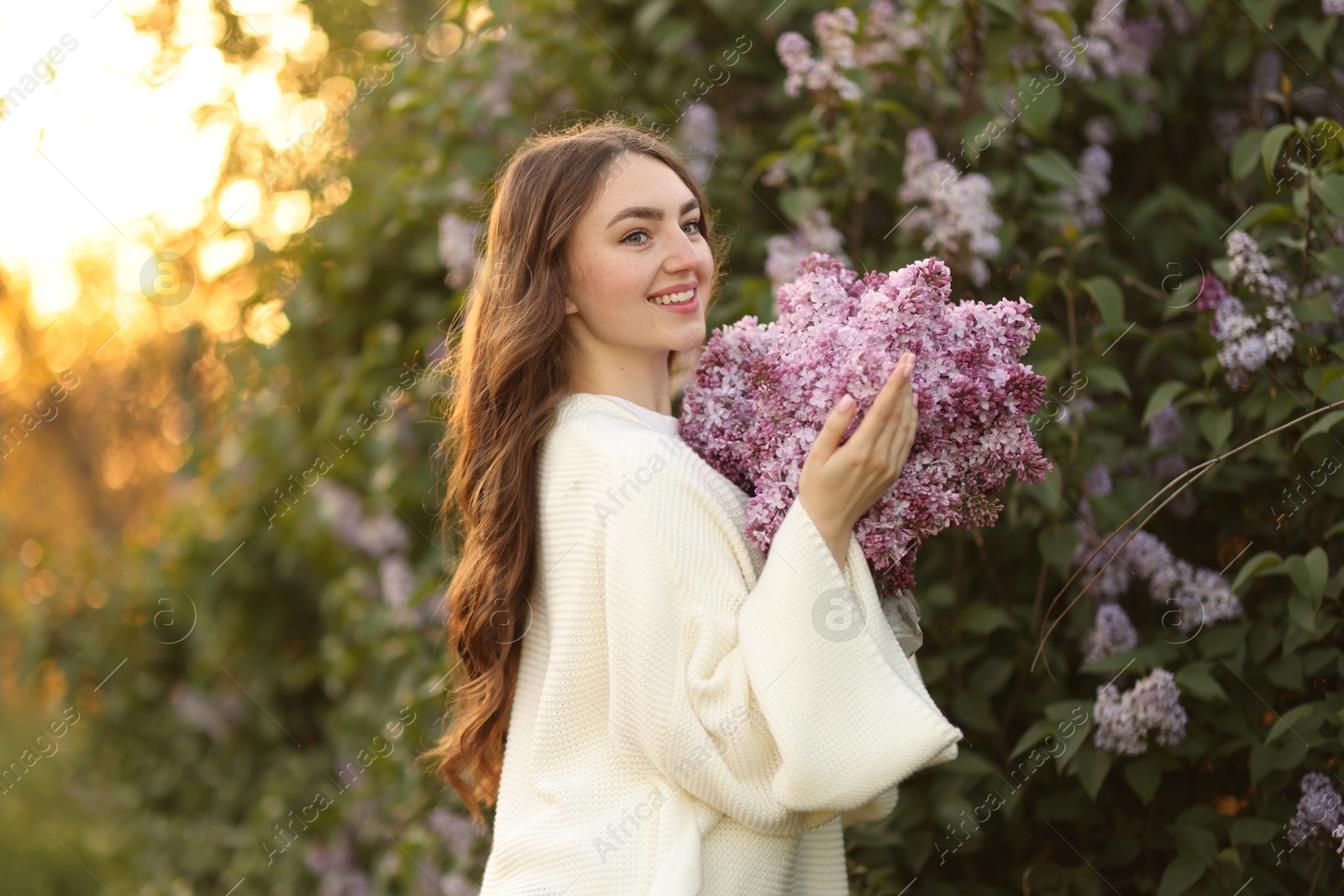 Smiling woman with bouquet of lilac flowers near bush outdoors in morning Photo of Smiling woman with bouquet of lilac flowers near bush outdoors in morning