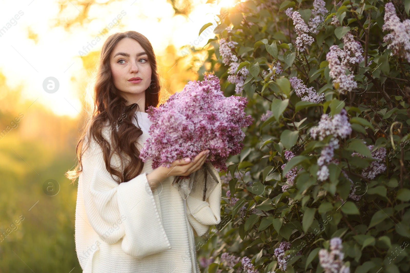 Beautiful woman with bouquet of lilac flowers near bush outdoors in morning Photo of Beautiful woman with bouquet of lilac flowers near bush outdoors in morning