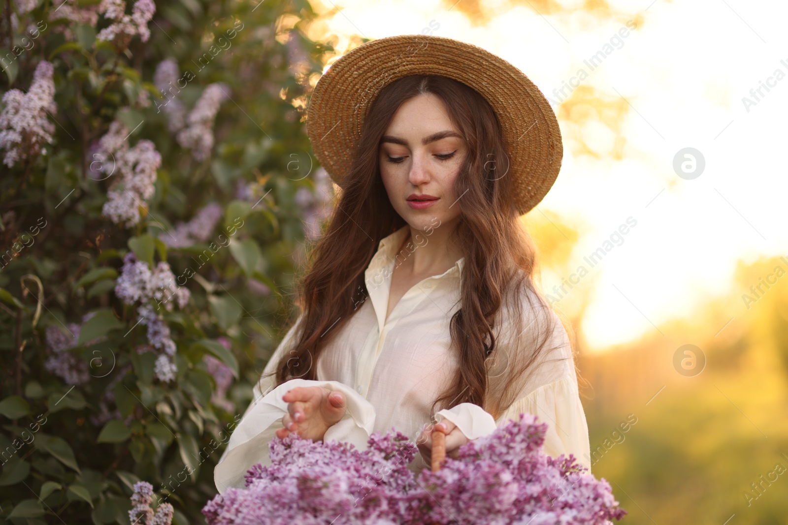 Beautiful woman with basket of lilac flowers outdoors in morning Photo of Beautiful woman with basket of lilac flowers outdoors in morning