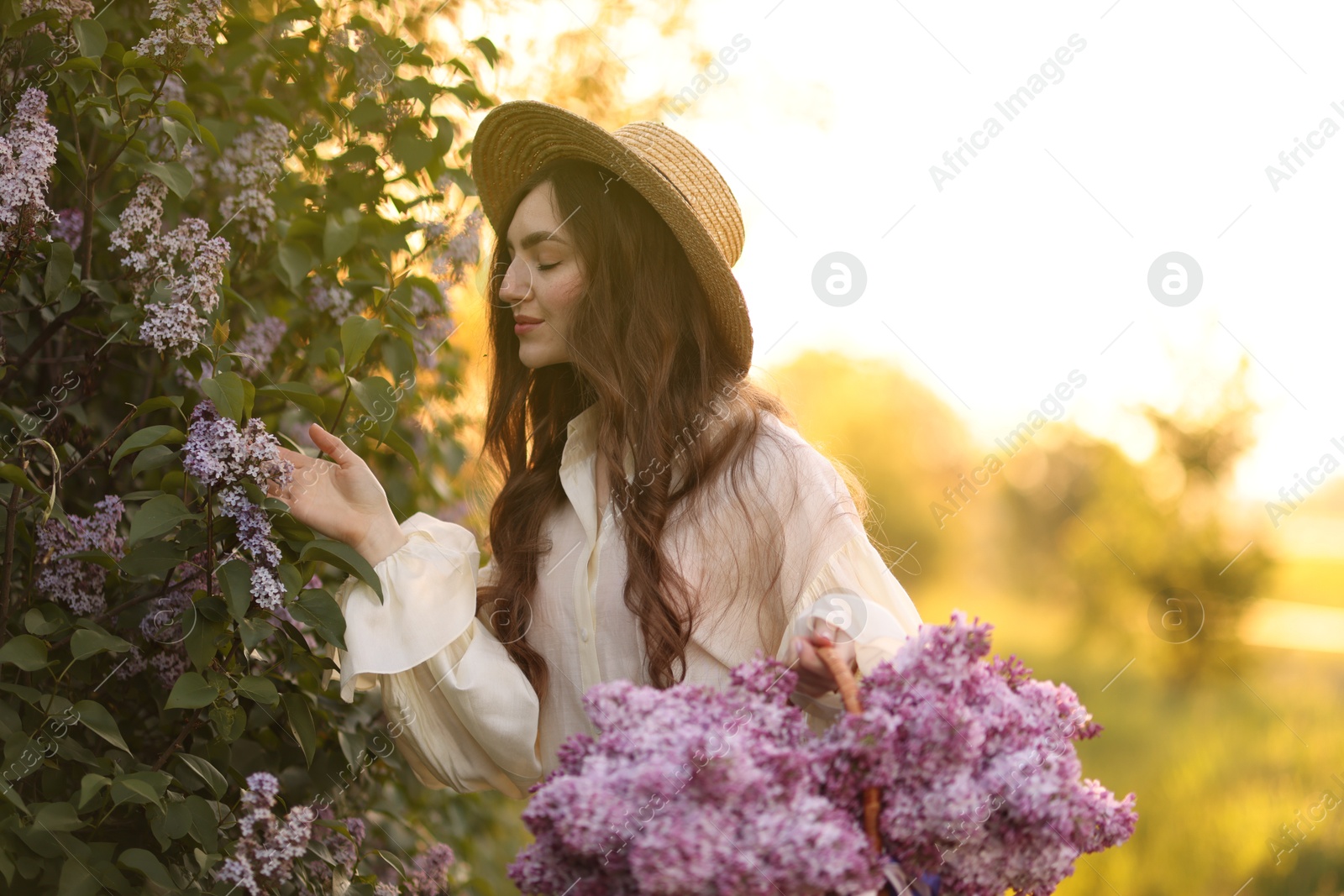 Beautiful woman with basket of lilac flowers near bush outdoors in morning Photo of Beautiful woman with basket of lilac flowers near bush outdoors in morning