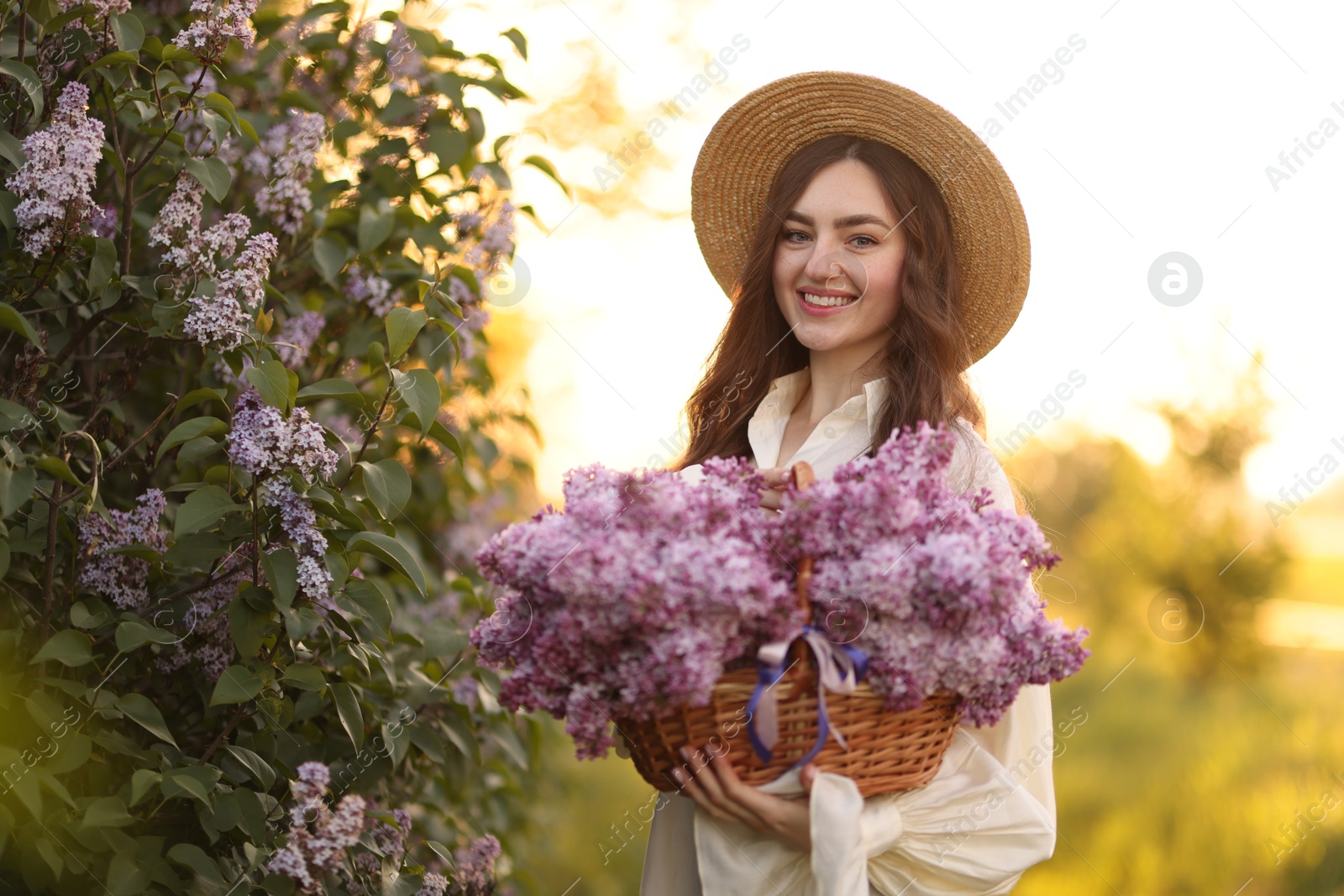 Smiling woman with basket of lilac flowers near bush outdoors in morning Photo of Smiling woman with basket of lilac flowers near bush outdoors in morning