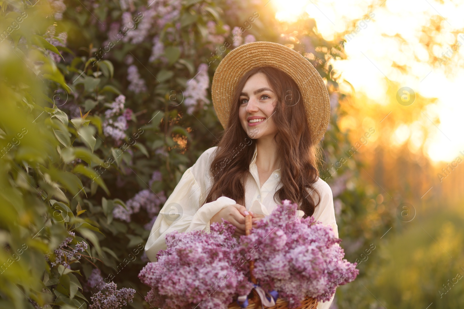 Smiling woman with basket of lilac flowers near bush outdoors in morning Photo of Smiling woman with basket of lilac flowers near bush outdoors in morning