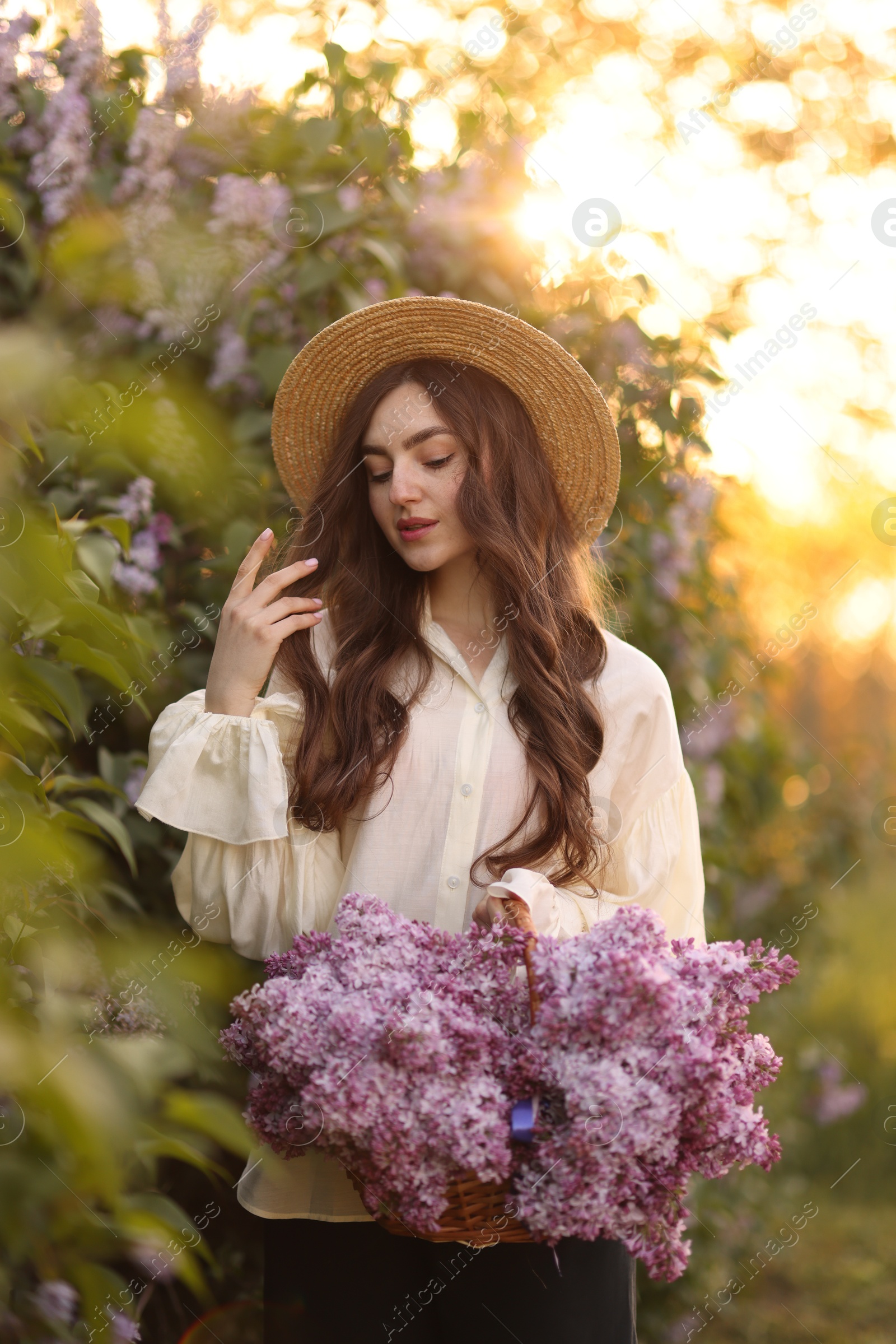 Beautiful woman with basket of lilac flowers near bush outdoors in morning Photo of Beautiful woman with basket of lilac flowers near bush outdoors in morning