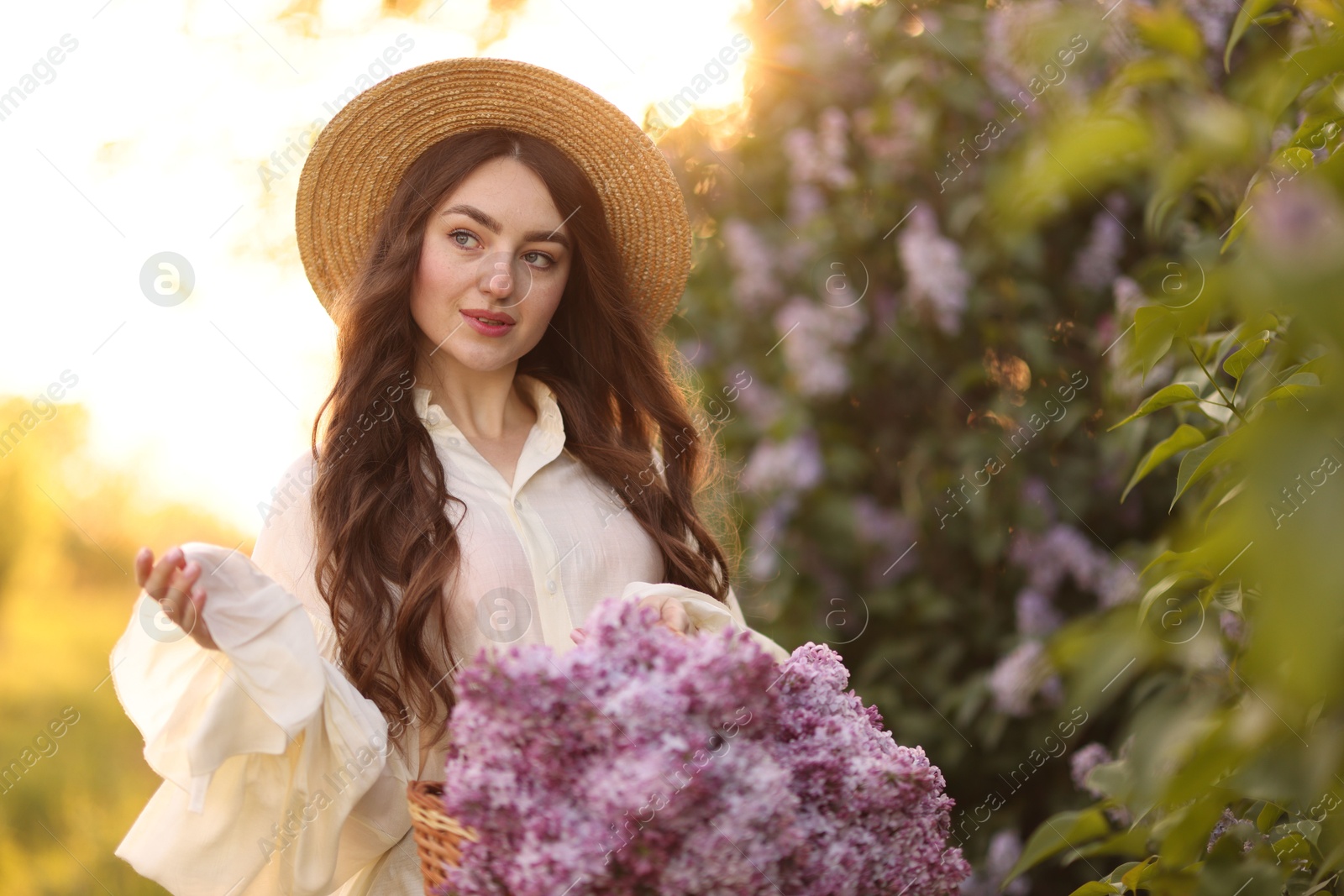 Beautiful woman with basket of lilac flowers near bush outdoors in morning Photo of Beautiful woman with basket of lilac flowers near bush outdoors in morning