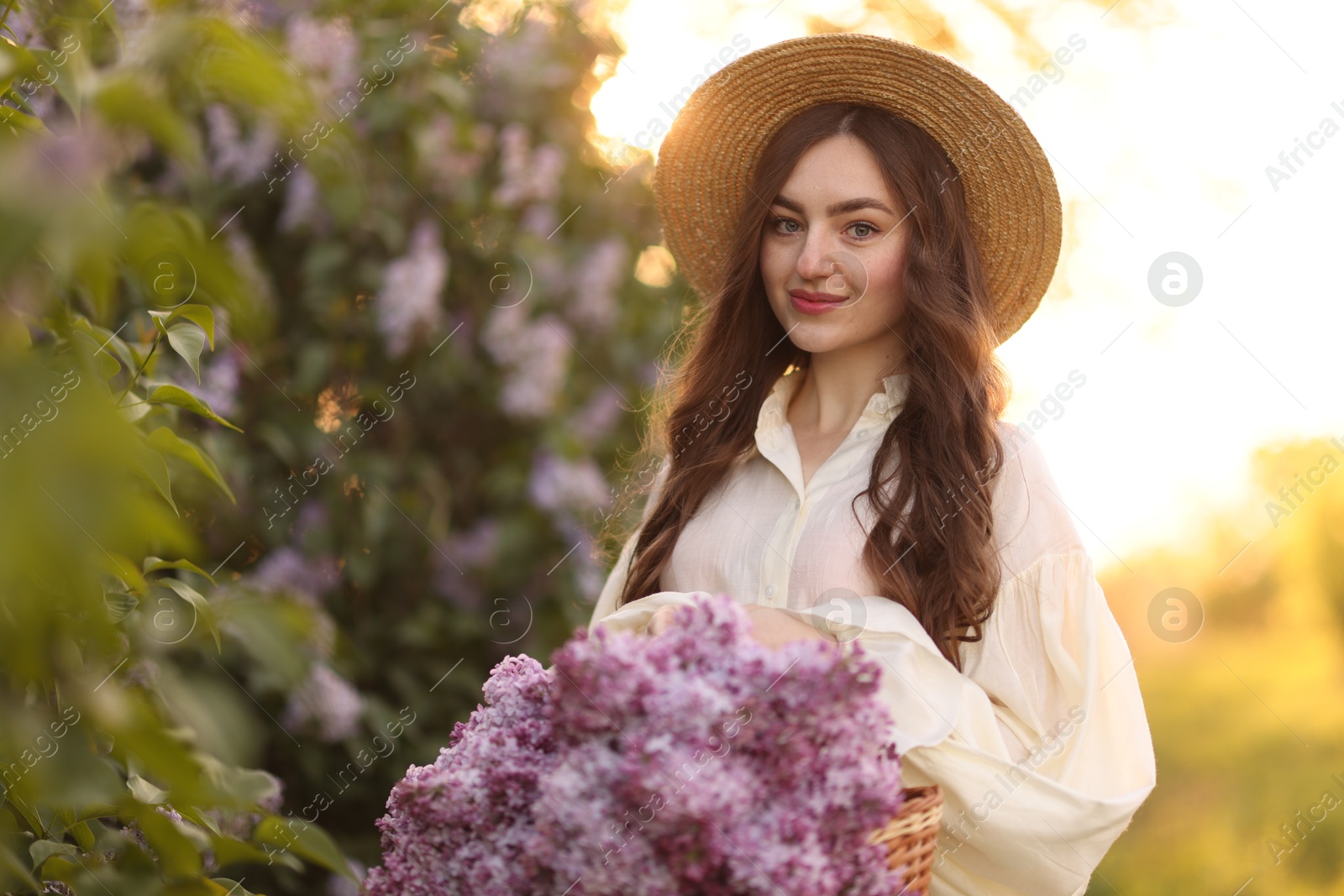 Beautiful woman with basket of lilac flowers near bush outdoors in morning Photo of Beautiful woman with basket of lilac flowers near bush outdoors in morning