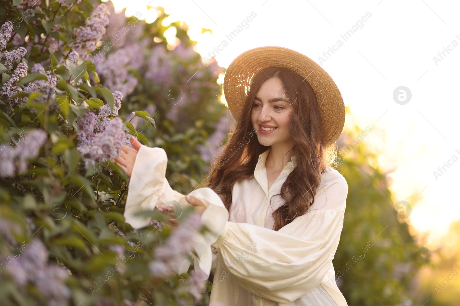 Smiling woman and beautiful lilac bush in morning Photo of Smiling woman and beautiful lilac bush in morning