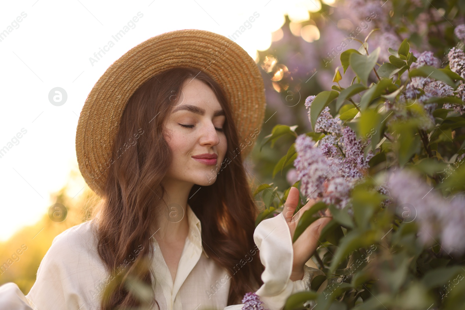 Beautiful woman and lilac bush in morning, closeup Photo of Beautiful woman and lilac bush in morning, closeup