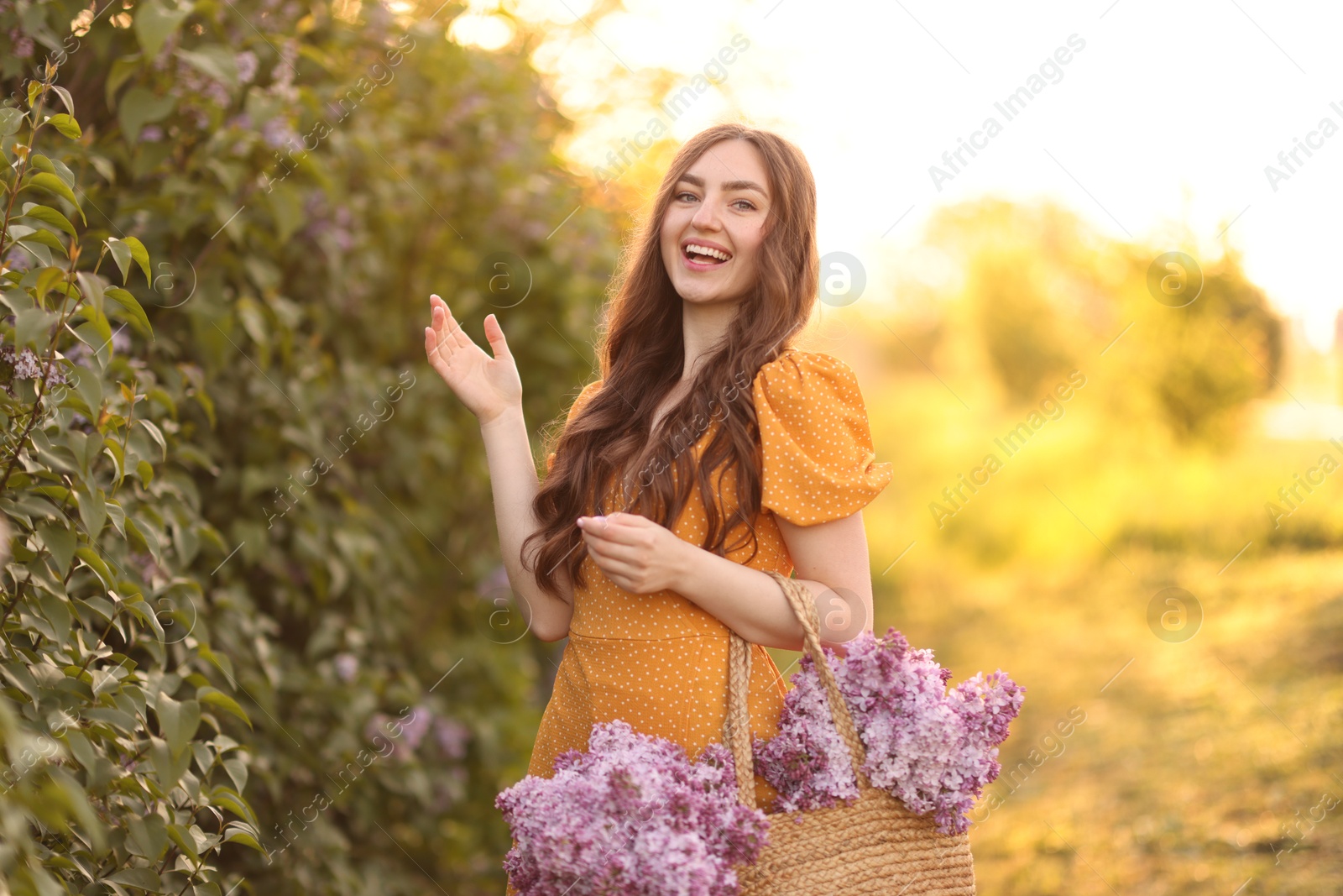 Smiling woman with bag of lilac flowers near bush outdoors in morning Photo of Smiling woman with bag of lilac flowers near bush outdoors in morning