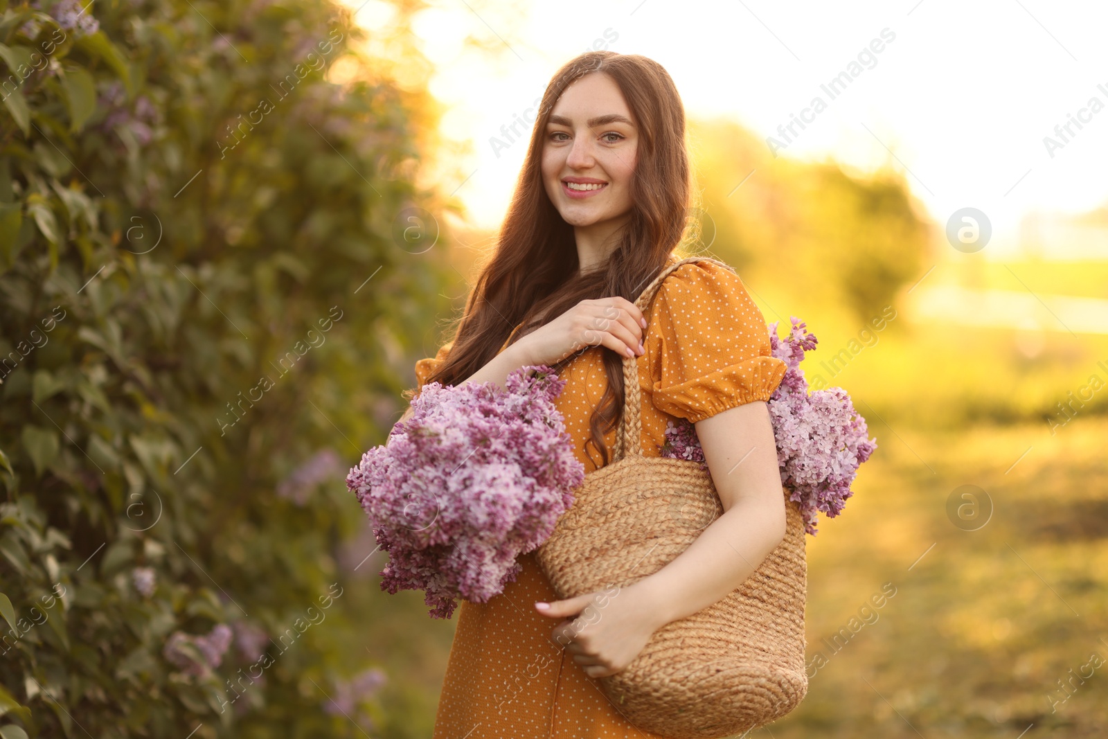 Smiling woman with bag of lilac flowers near bush outdoors in morning Photo of Smiling woman with bag of lilac flowers near bush outdoors in morning