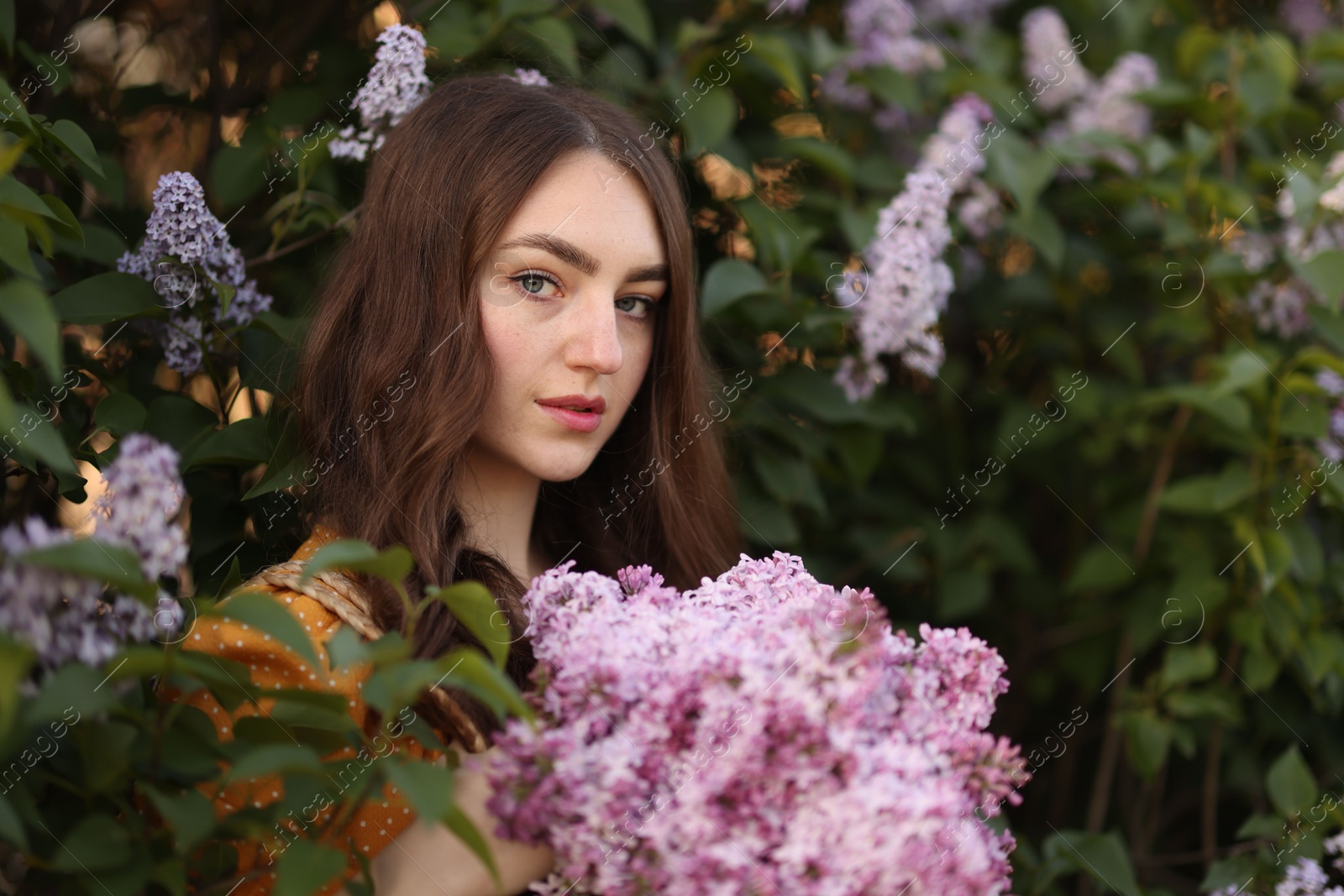 Portrait of beautiful woman with lilac flowers near bush outdoors Photo of Portrait of beautiful woman with lilac flowers near bush outdoors