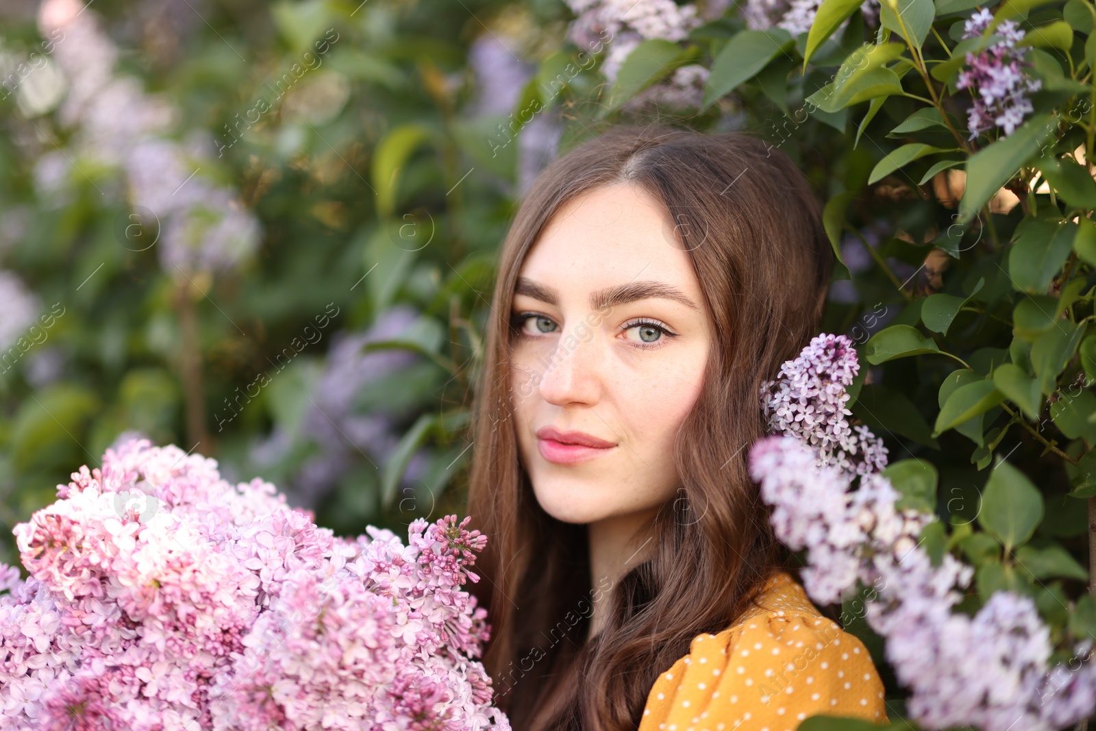 Portrait of beautiful woman with lilac flowers near bush outdoors Photo of Portrait of beautiful woman with lilac flowers near bush outdoors