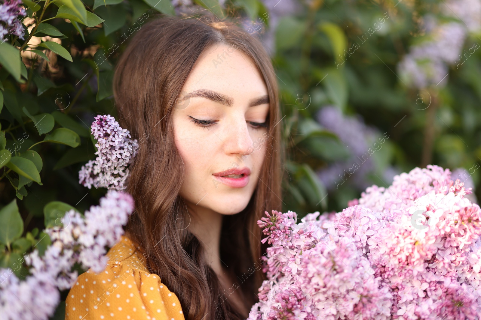 Beautiful woman with lilac flowers near bush outdoors Photo of Beautiful woman with lilac flowers near bush outdoors