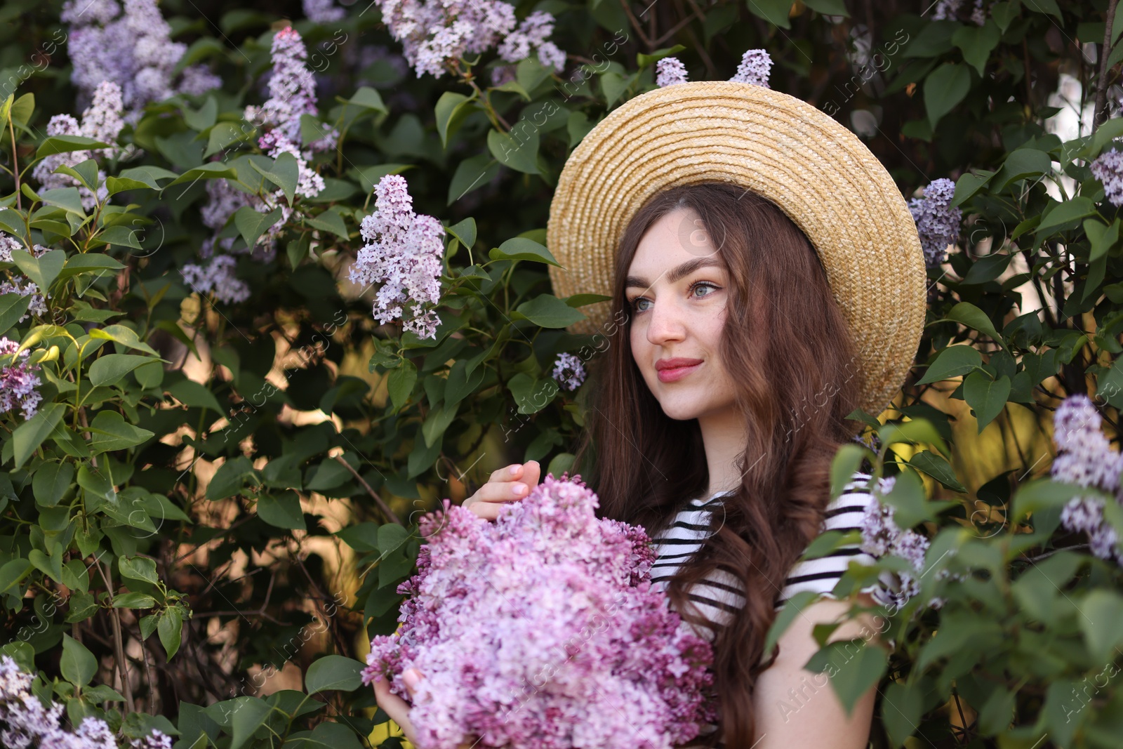 Beautiful woman among lilac flowers and leaves outdoors Photo of Beautiful woman among lilac flowers and leaves outdoors