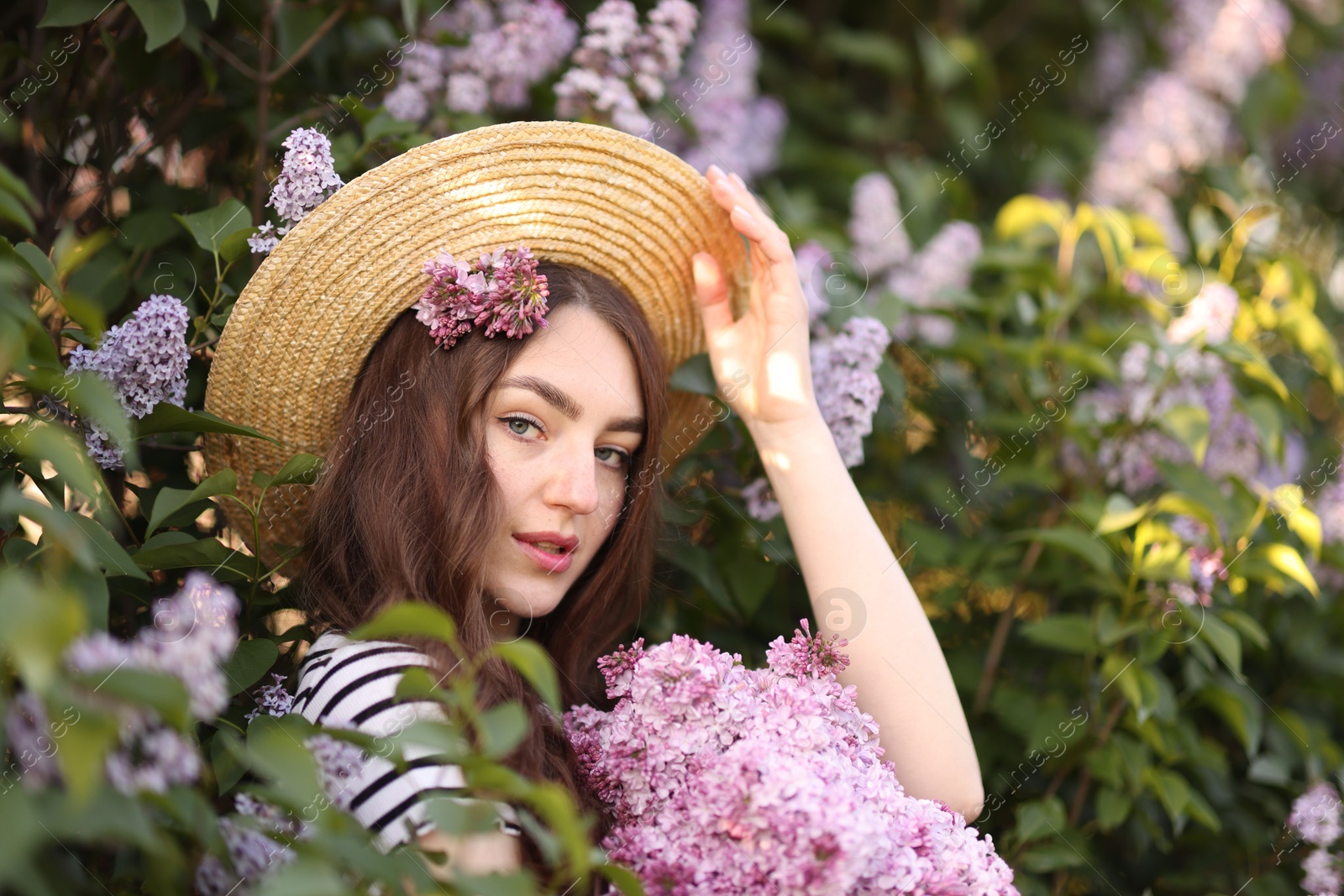Beautiful woman among lilac flowers and leaves outdoors Photo of Beautiful woman among lilac flowers and leaves outdoors
