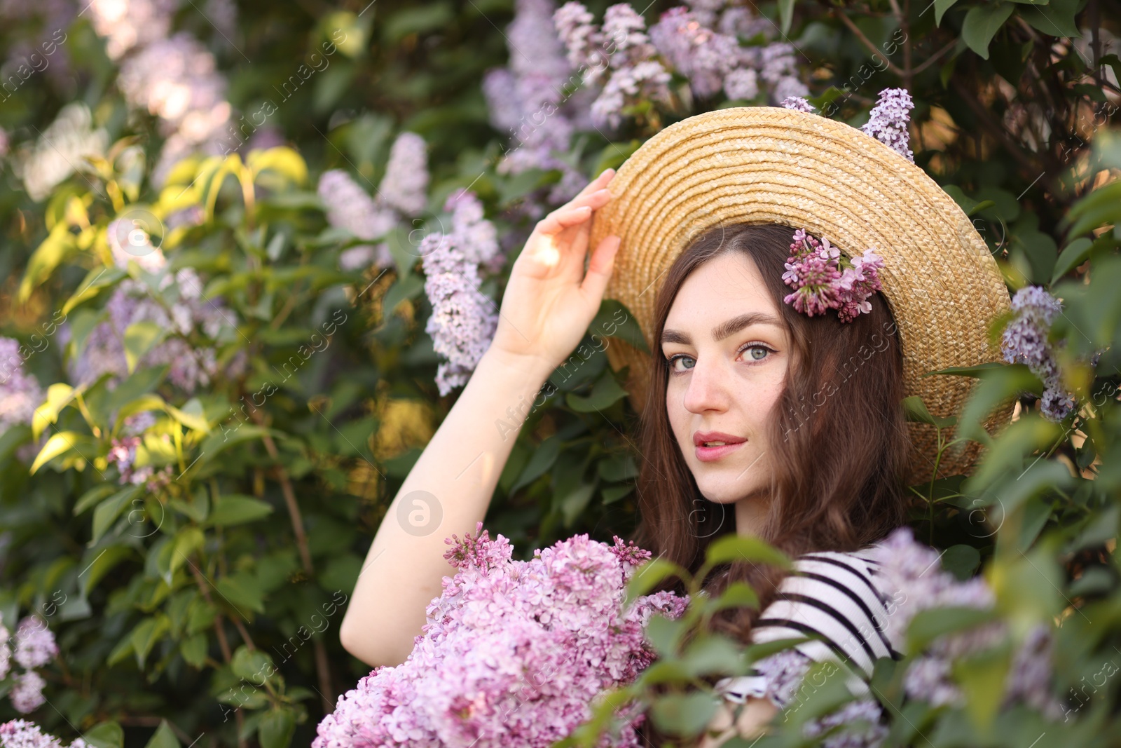 Beautiful woman among lilac flowers and leaves outdoors Photo of Beautiful woman among lilac flowers and leaves outdoors