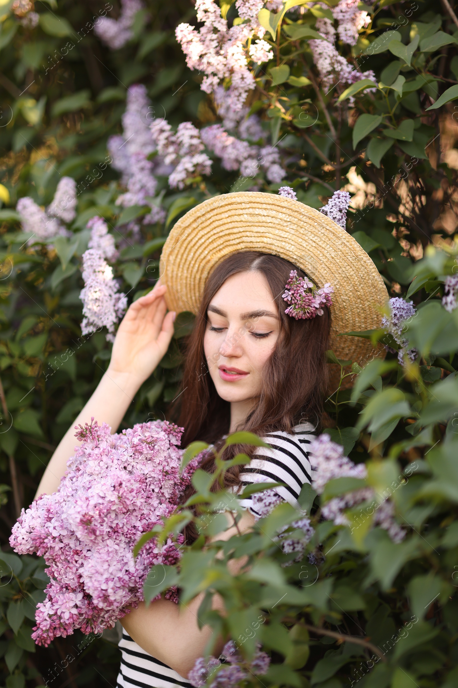 Beautiful woman among lilac flowers and leaves outdoors Photo of Beautiful woman among lilac flowers and leaves outdoors