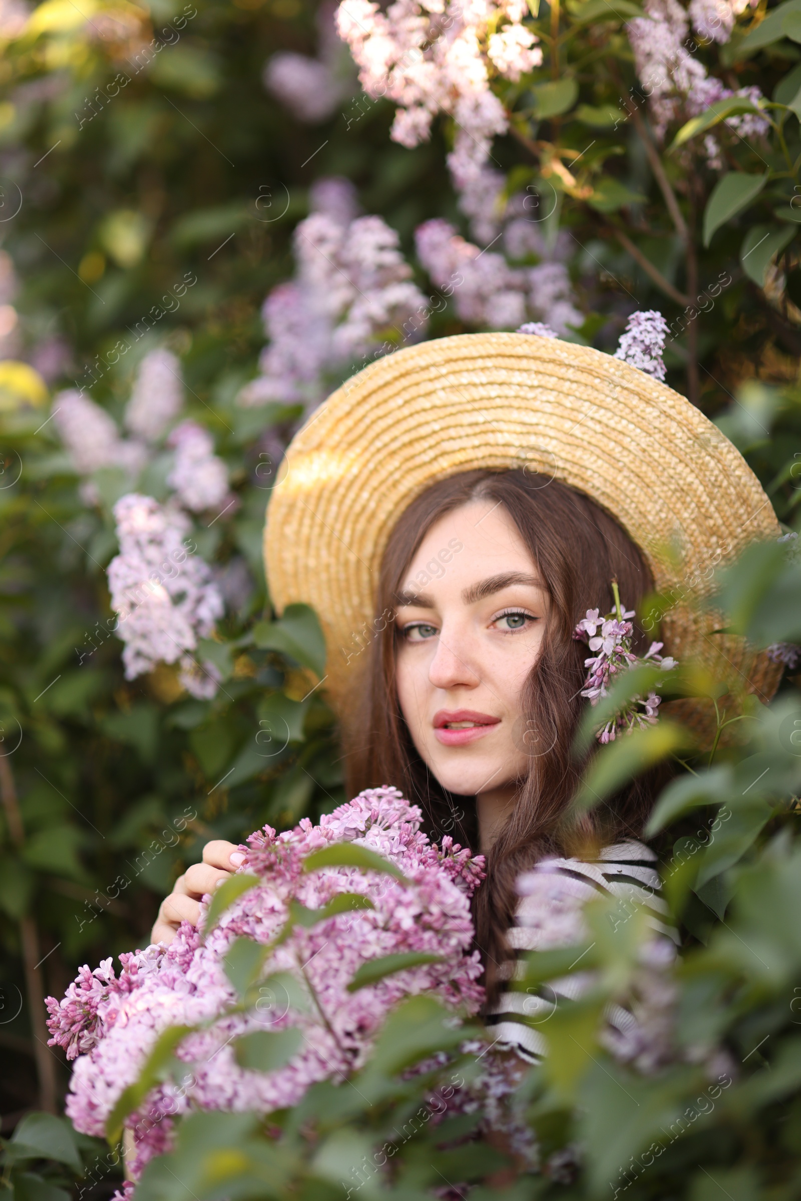 Beautiful woman among lilac flowers and leaves outdoors Photo of Beautiful woman among lilac flowers and leaves outdoors
