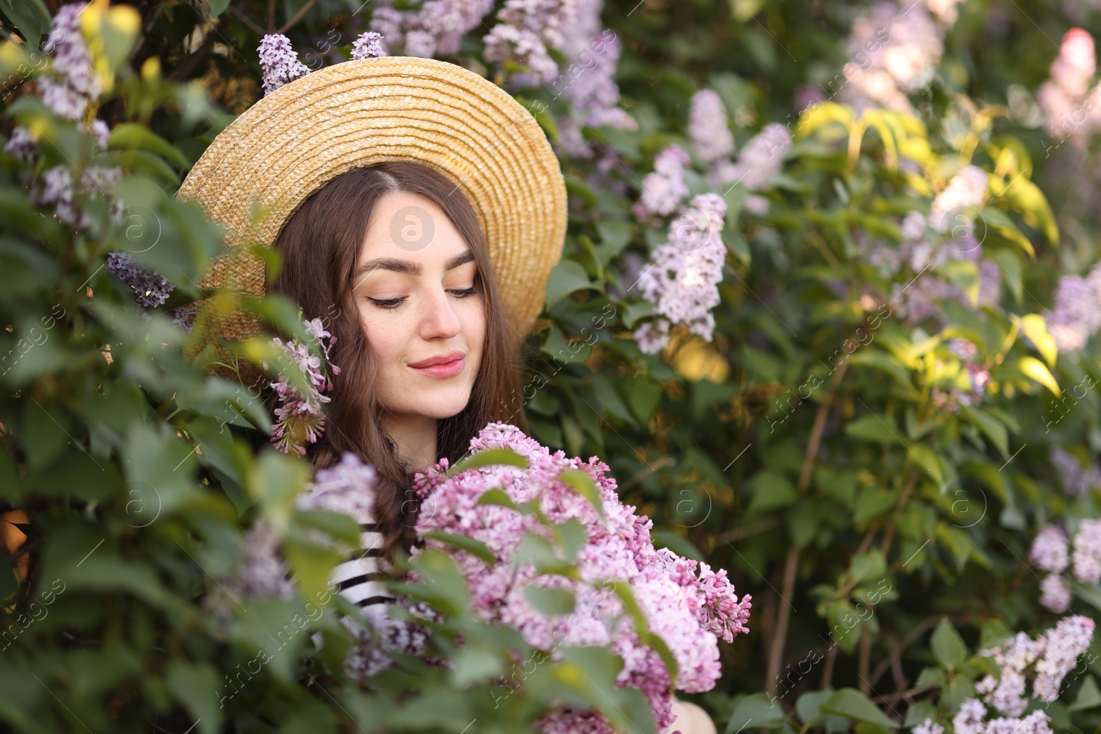 Beautiful woman among lilac flowers and leaves outdoors Photo of Beautiful woman among lilac flowers and leaves outdoors
