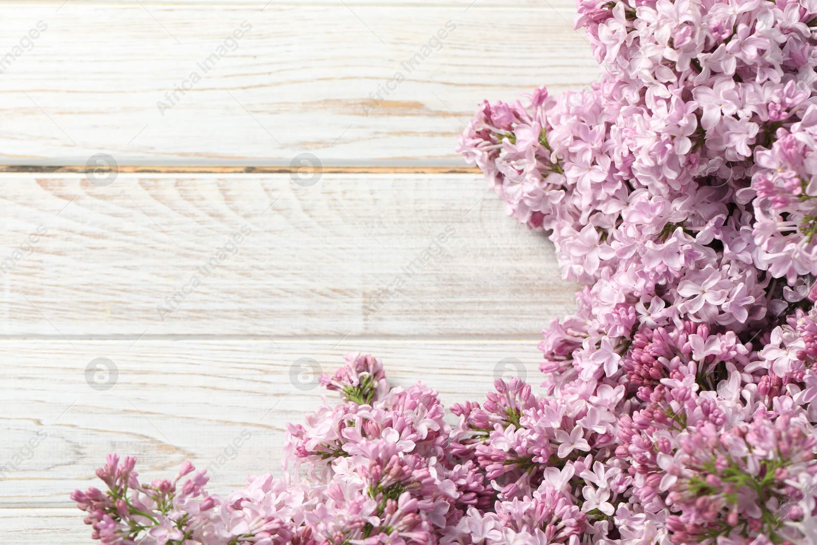 Beautiful lilac flowers on light wooden table, closeup. Space for text Photo of Beautiful lilac flowers on light wooden table, closeup. Space for text