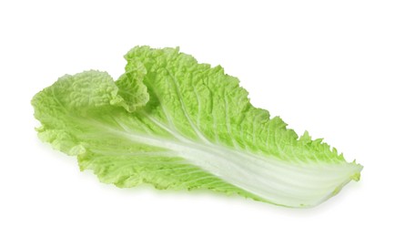 Photo of Leaf of fresh Chinese cabbage isolated on white