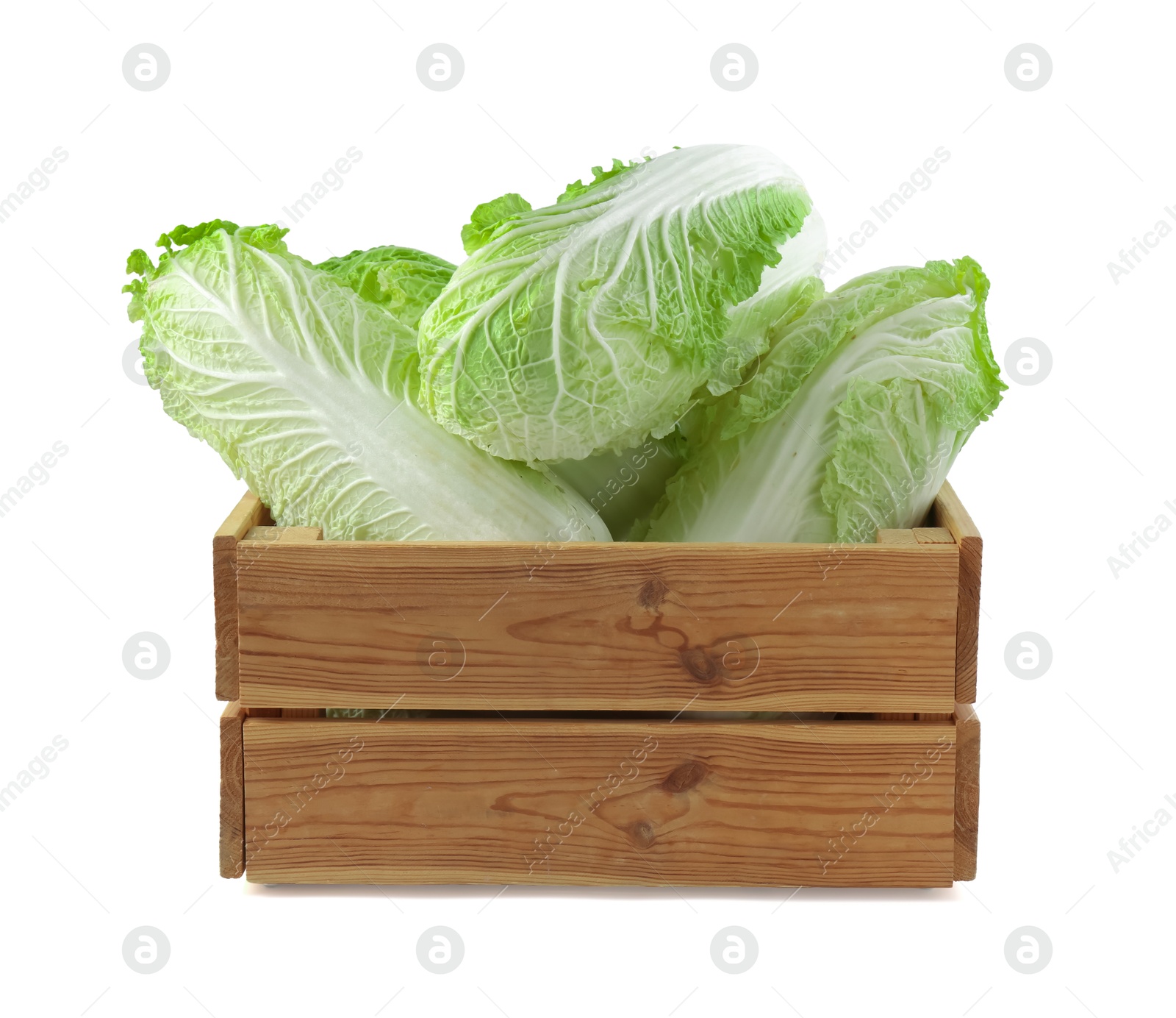 Many fresh Chinese cabbages in wooden crate isolated on white Photo of Many fresh Chinese cabbages in wooden crate isolated on white