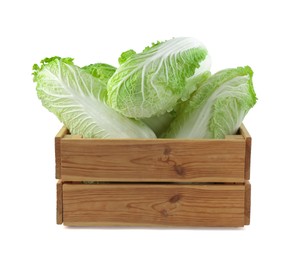 Photo of Many fresh Chinese cabbages in wooden crate isolated on white