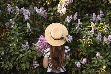 Photo of Woman in straw hat among lilac flowers and leaves outdoors, back view