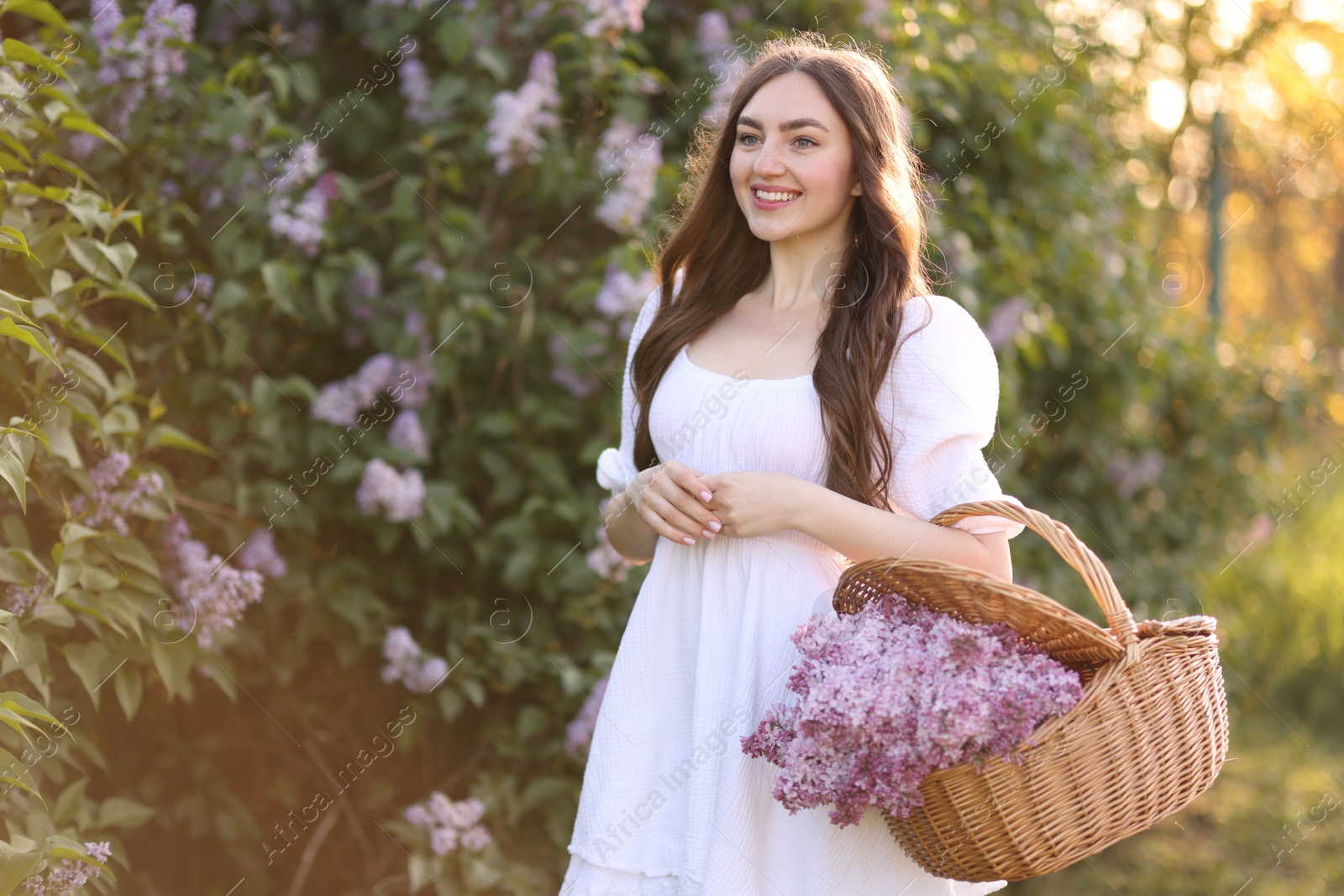 Smiling woman with basket of lilac flowers near bush in morning Photo of Smiling woman with basket of lilac flowers near bush in morning