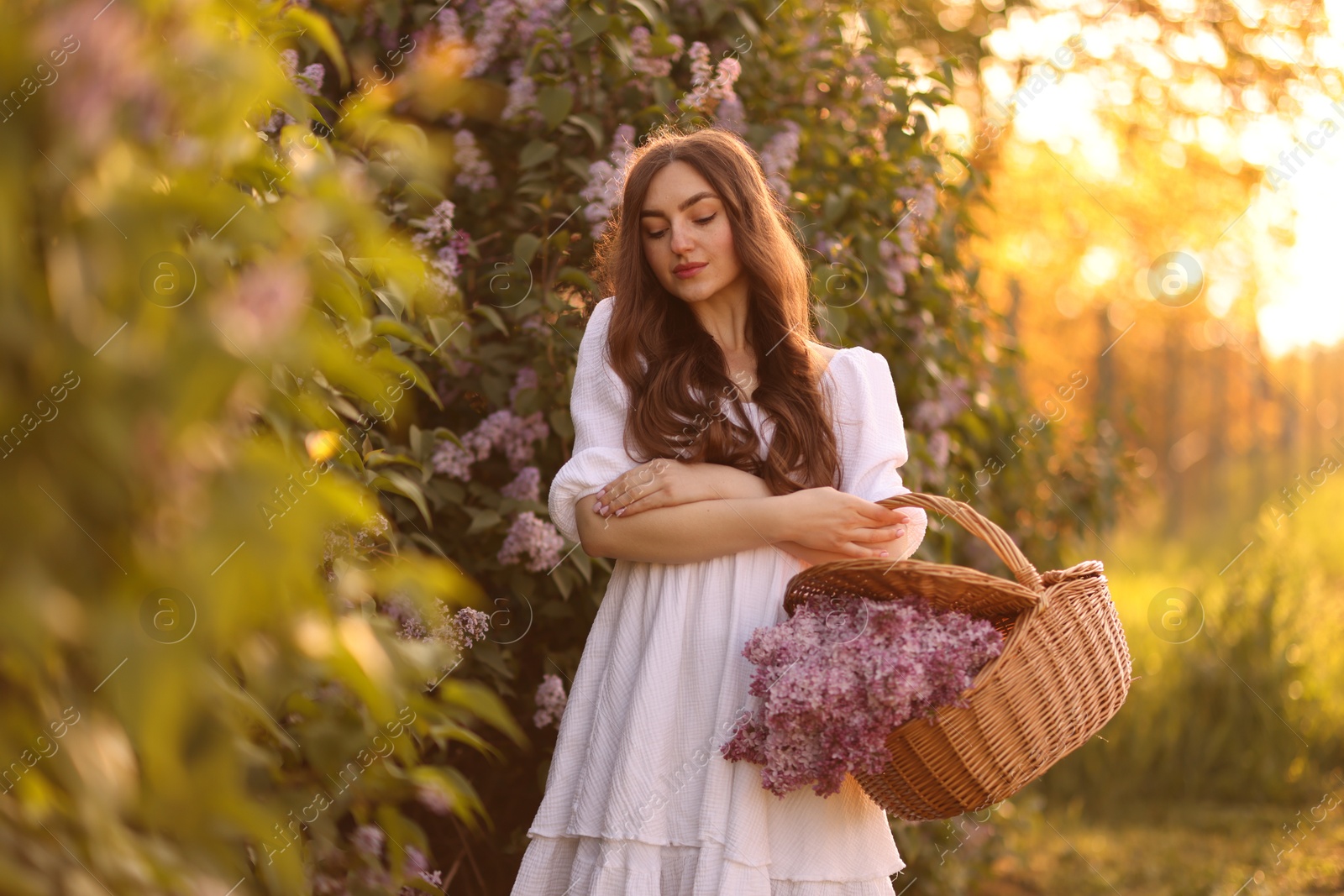 Beautiful woman with basket of lilac flowers outdoors in morning Photo of Beautiful woman with basket of lilac flowers outdoors in morning