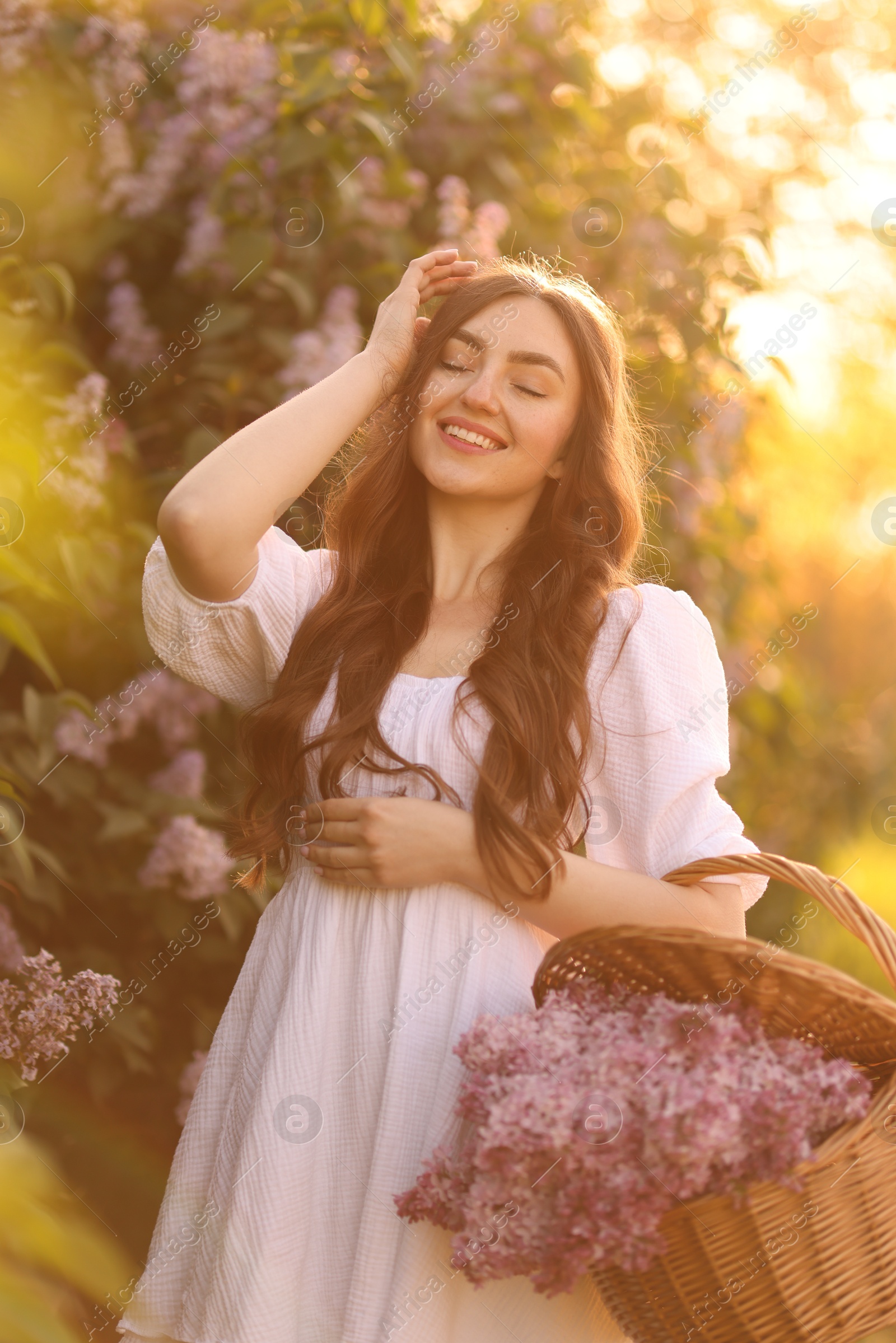 Smiling woman with basket of lilac flowers outdoors in morning Photo of Smiling woman with basket of lilac flowers outdoors in morning