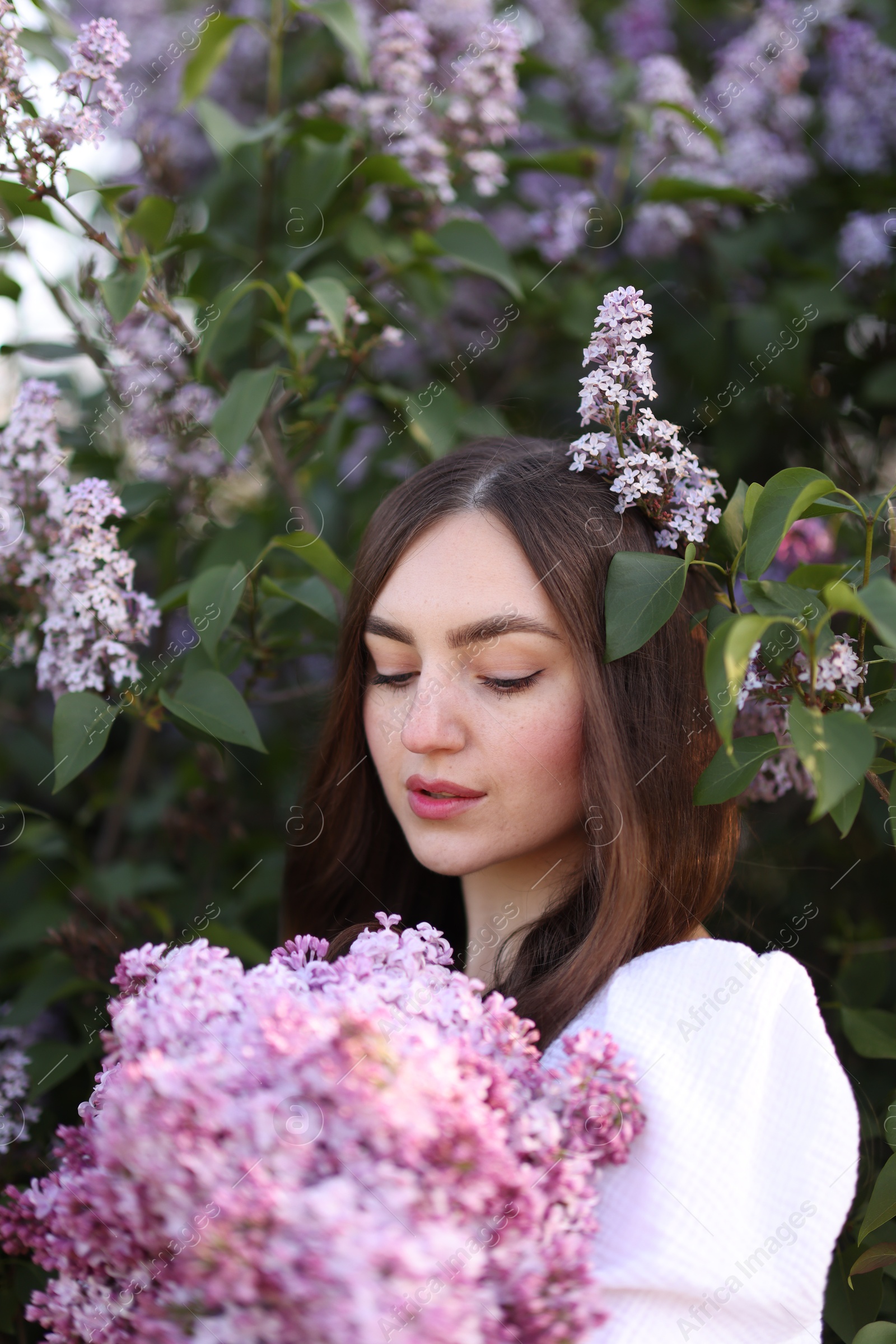 Beautiful woman among lilac flowers and leaves outdoors Photo of Beautiful woman among lilac flowers and leaves outdoors