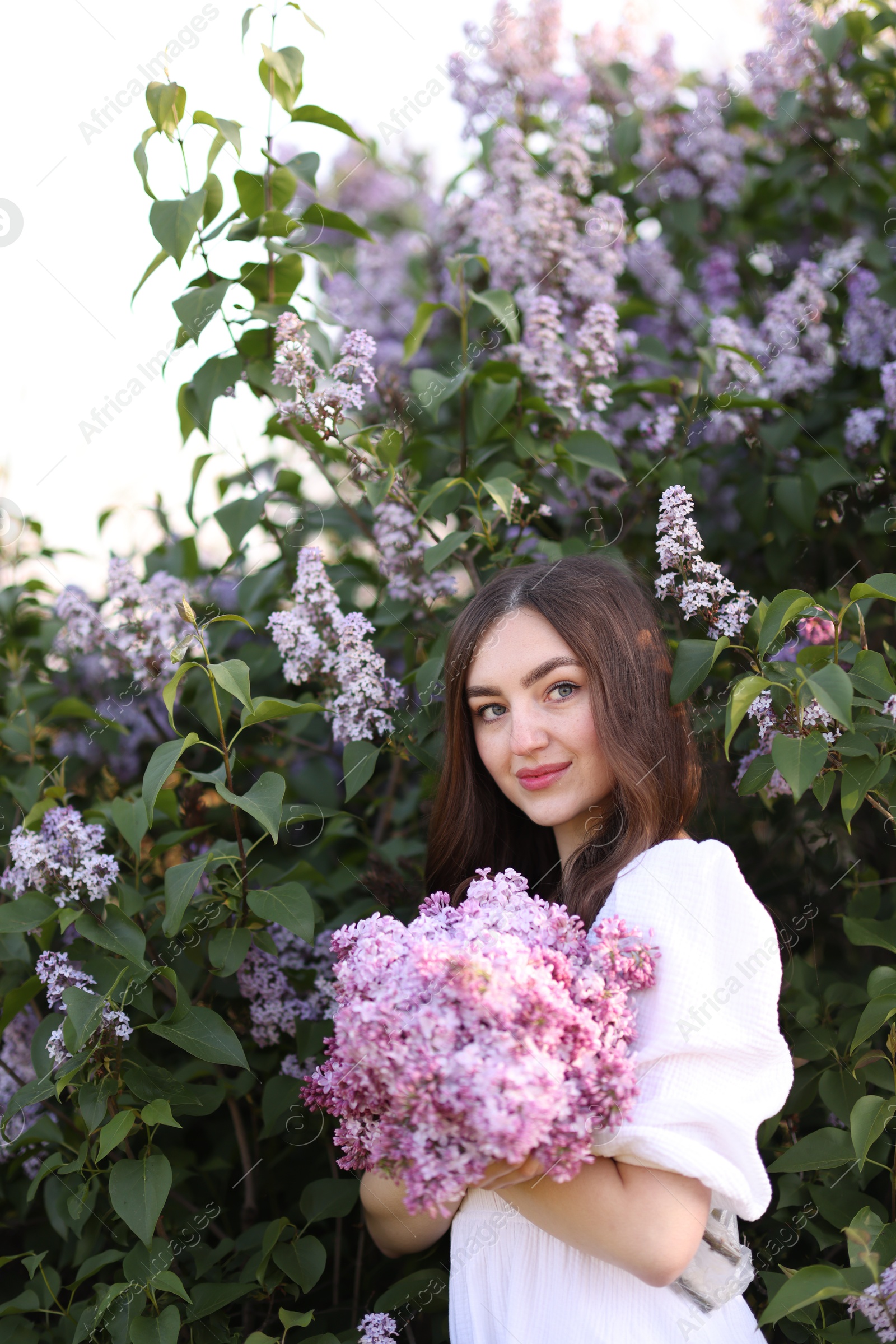 Beautiful woman among lilac flowers and leaves outdoors Photo of Beautiful woman among lilac flowers and leaves outdoors
