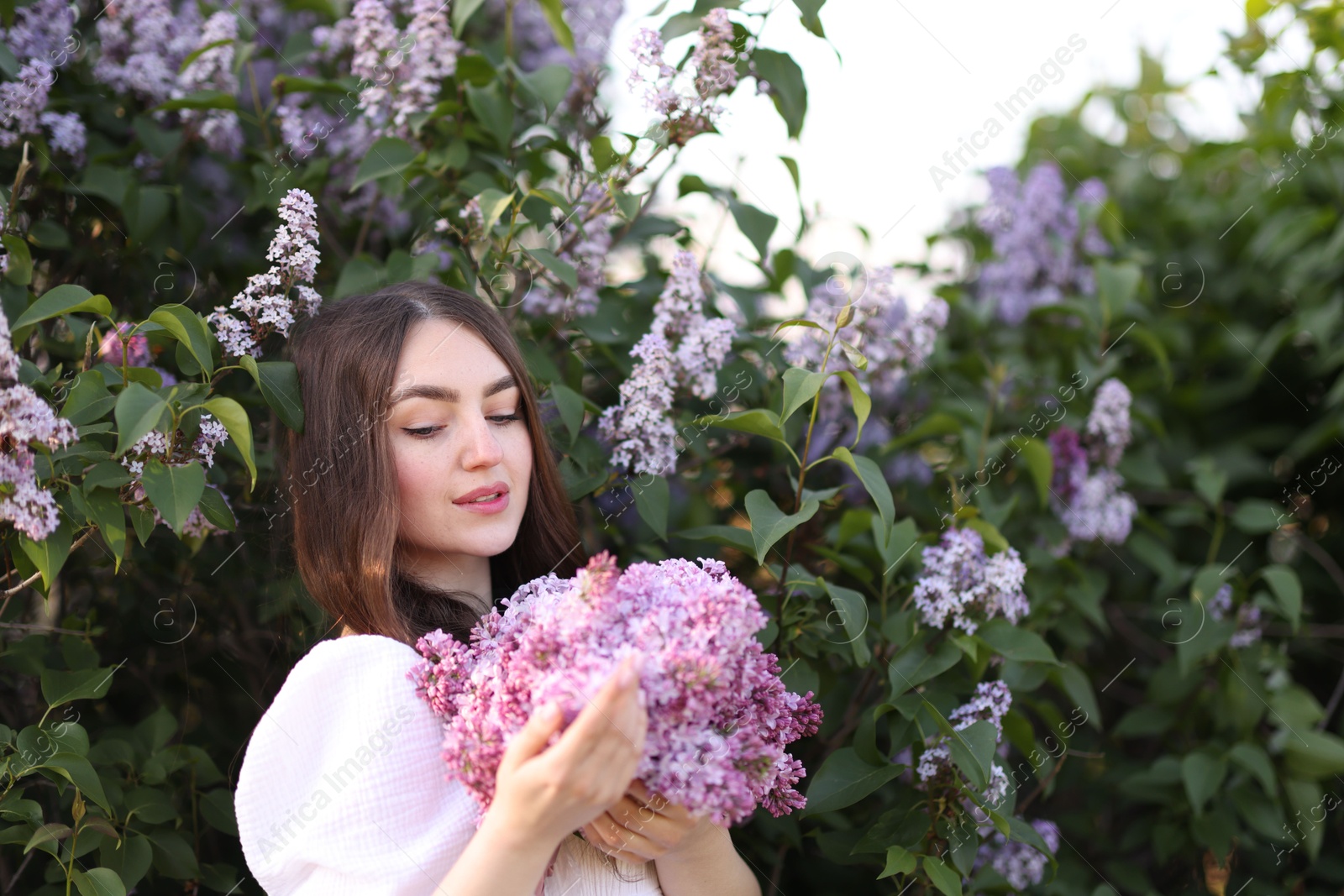 Beautiful woman among lilac flowers and leaves outdoors Photo of Beautiful woman among lilac flowers and leaves outdoors